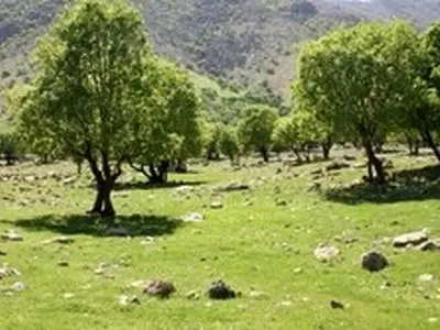 ثبت ۳ اثر طبیعی همدان در فهرست میراث ملی