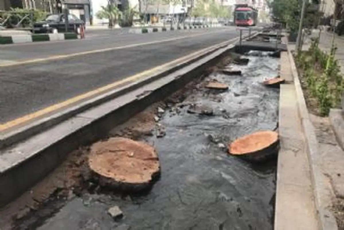 سازمان زیباسازی پاسخگوی مشکلات زیرساختی خیابان ولیعصر باشد
