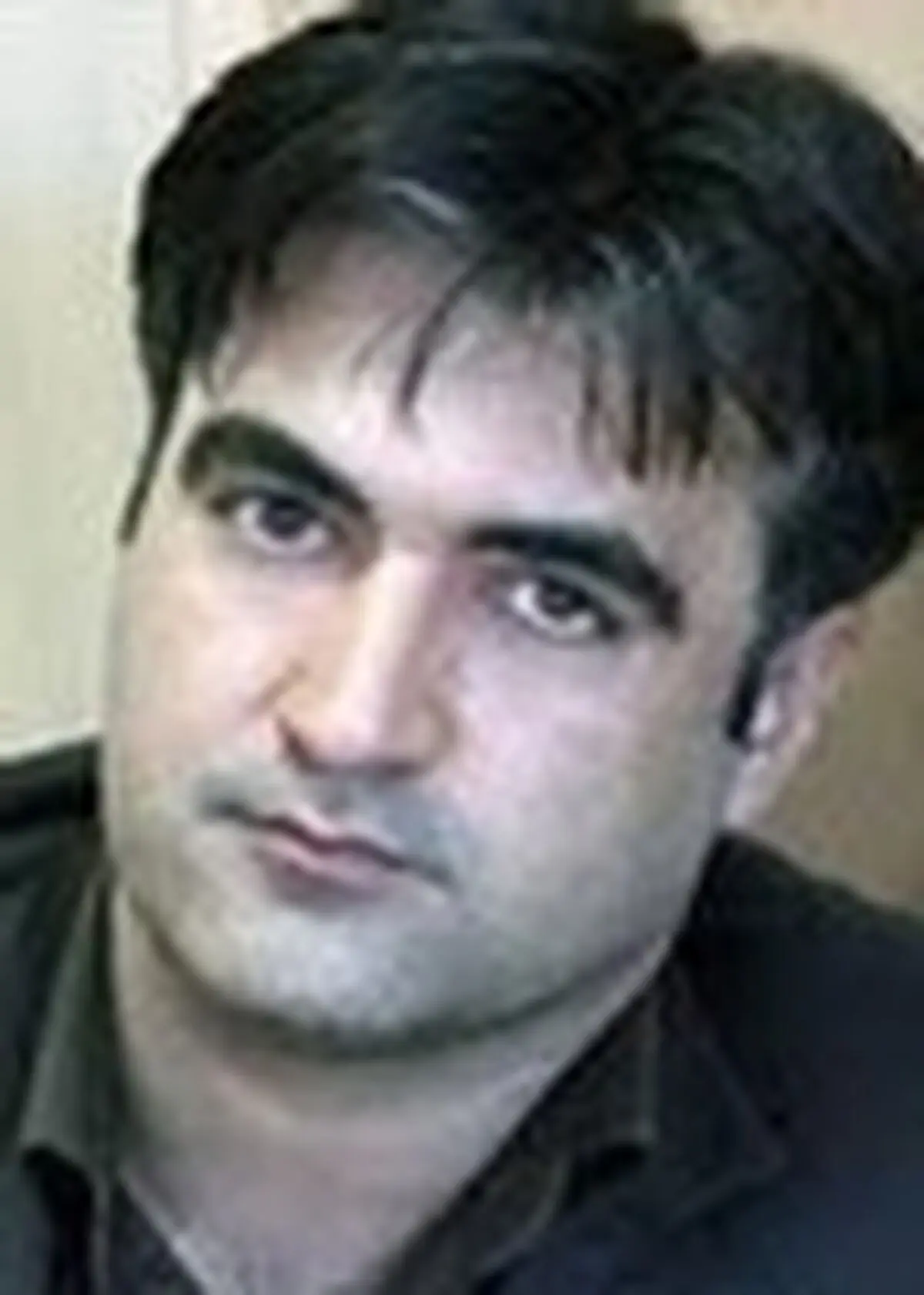 پیشبرد امور فرهنگی نیازمند عمل گرایی است