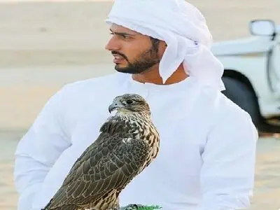 قرقاش یلمح لإصابة نجل شقیق رئیس الدولة وصهر محمد بن زاید فی تحطم طائرة بالیمن