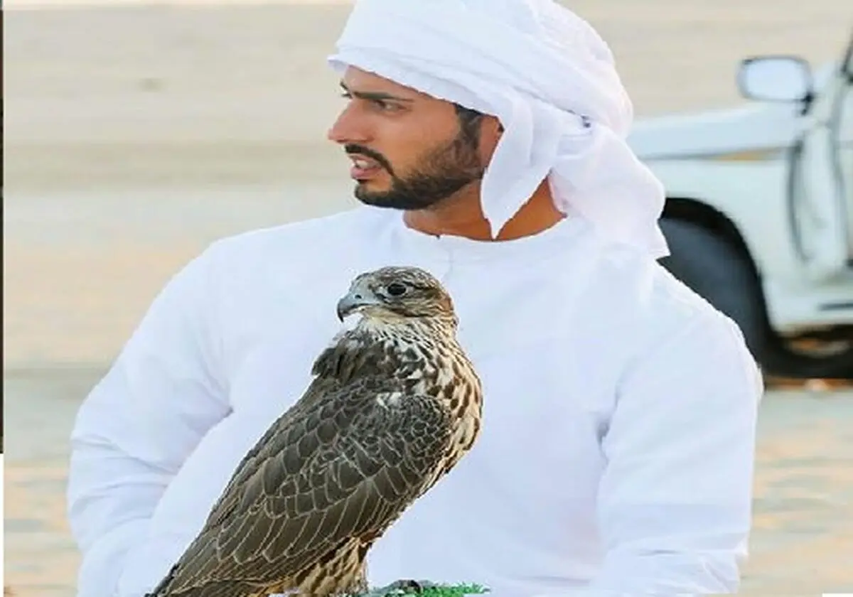 قرقاش یلمح لإصابة نجل شقیق رئیس الدولة وصهر محمد بن زاید فی تحطم طائرة بالیمن