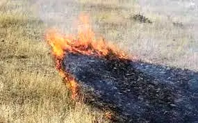 ارجاع پرونده‌های آتش‌سوزی مزارع کرخه به کارشناسان / لزوم استقرار ادارات اجرایی در شهرستان
