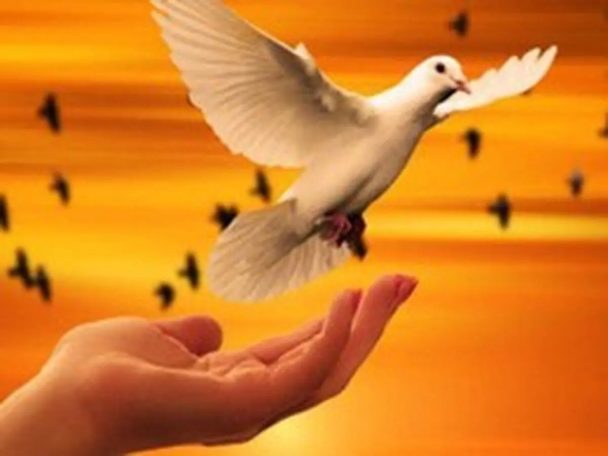 آزادی دو محکوم قصاص در گلستان