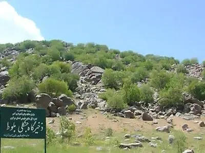 تأکید بر آموزش، مشارکت مردمی و حفاظت علمی از ذخیره‌گاه بلوط سرسختی علیا