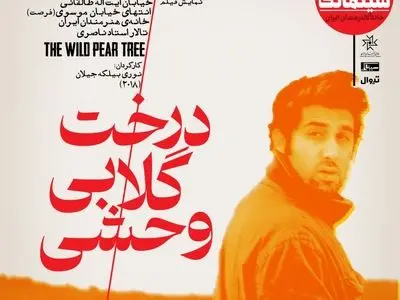«درخت گلابی وحشی» در سینماتک خانه هنرمندان ایران