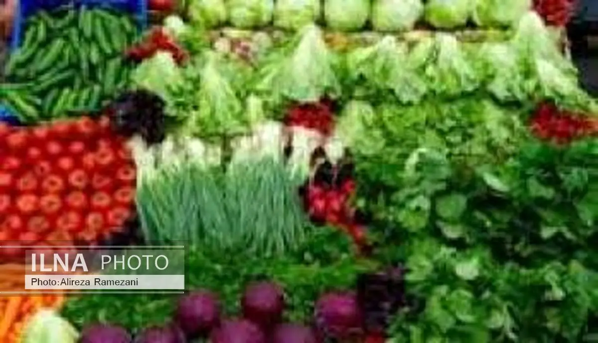واردات سالانه حدود 100 میلیون دلار بذر سبزی و صیفی به کشور