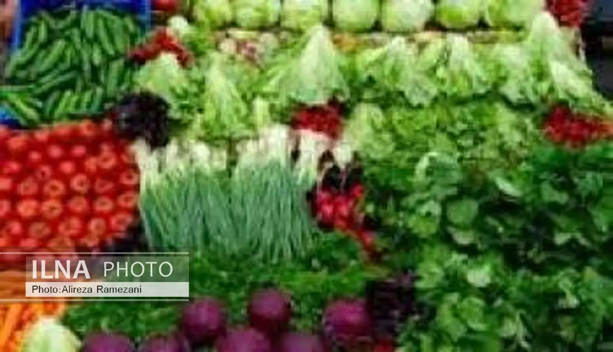 واردات سالانه حدود 100 میلیون دلار بذر سبزی و صیفی به کشور