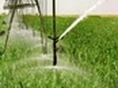 عدم مدیریت صحیح منابع آبی، حیات کشاورزی استان البرز را دچار مخاطره می‌کند