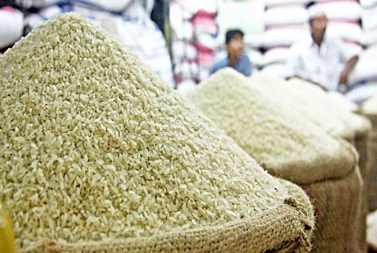 اگر در خرید انواع برنج ایرانی سررشته ندارید حتما این مطلب را بخوانید
