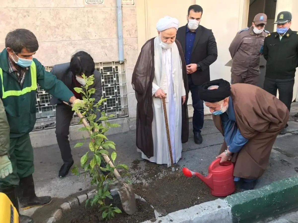 طرح نهضت درختکاری در محله‌های مرکزی شهر تهران آغاز شد