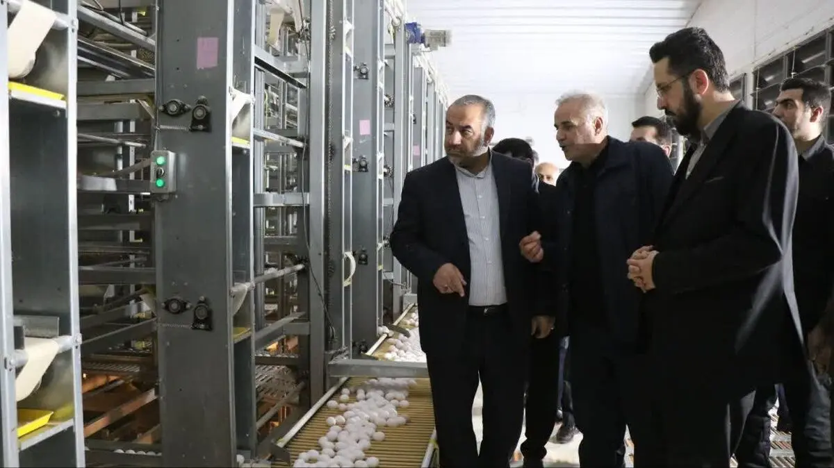 ۳۲ واحد مستقر در شهرک‌های صنعتی گلستان موفق به دریافت سند مالکیت شدند
