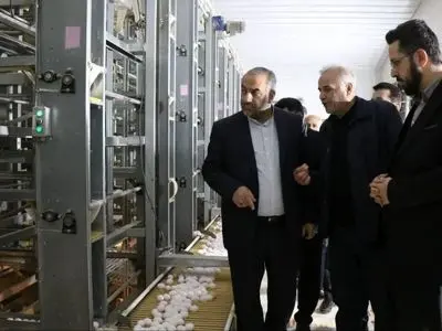 ۳۲ واحد مستقر در شهرک‌های صنعتی گلستان موفق به دریافت سند مالکیت شدند