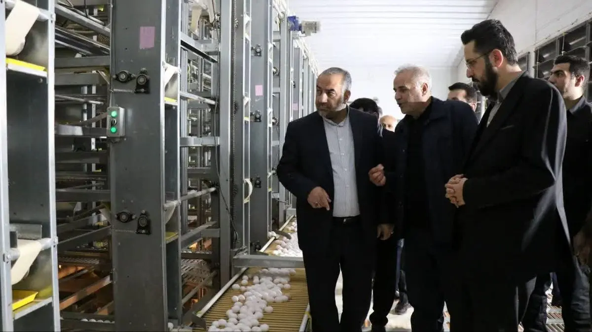 ۳۲ واحد مستقر در شهرک‌های صنعتی گلستان موفق به دریافت سند مالکیت شدند