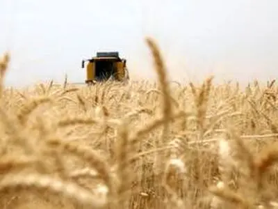۶۱۳ هزار تن گندم راهی سیلوهای فارس