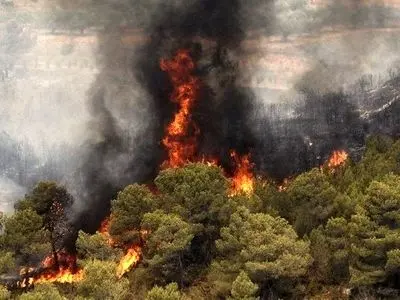  آتش سوزی تالاب« بیشه دالان» بخش شیروان بروجرد مهار شد