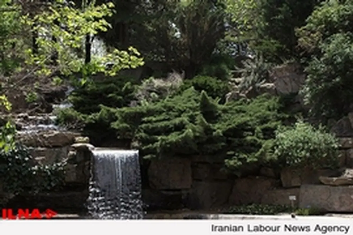 کسری بودجه، پرسنل باغ ملی گیاه‌شناسی را به یک سوم کاهش داده است / لزوم استفاده از ظرفیت بخش خصوصی