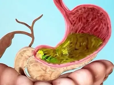 آنچه در سیستم گوارش بر سر غذا می‌آید + فیلم