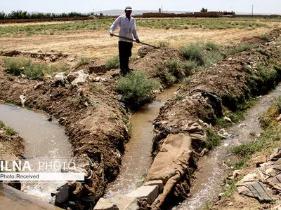 استیضاح وزیر جهاد کشاورزی در دستور کار نمایندگان قزوین/ تعیین وقت 20 روزه برای تغییر سیاست‌ها