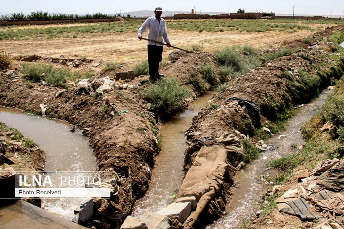 استیضاح وزیر جهاد کشاورزی در دستور کار نمایندگان قزوین/ تعیین وقت 20 روزه برای تغییر سیاست‌ها