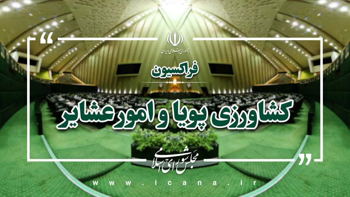سکوت سازمان‌های بین‌المللی در قبال تجاوز به سازمان منابع طبیعی، اعتبار آن‌ها را کاهش می‌دهد