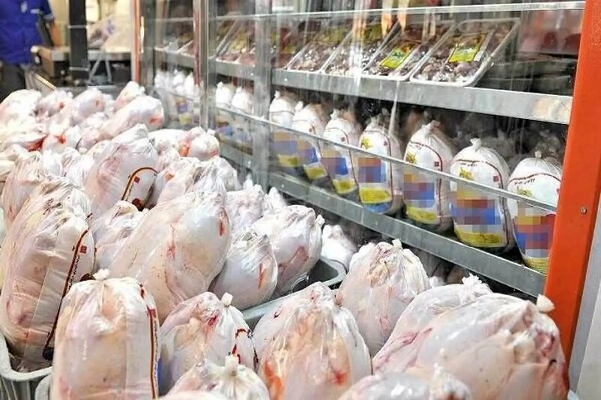 توزیع ۴۶۰ تن گوشت مرغ در لرستان