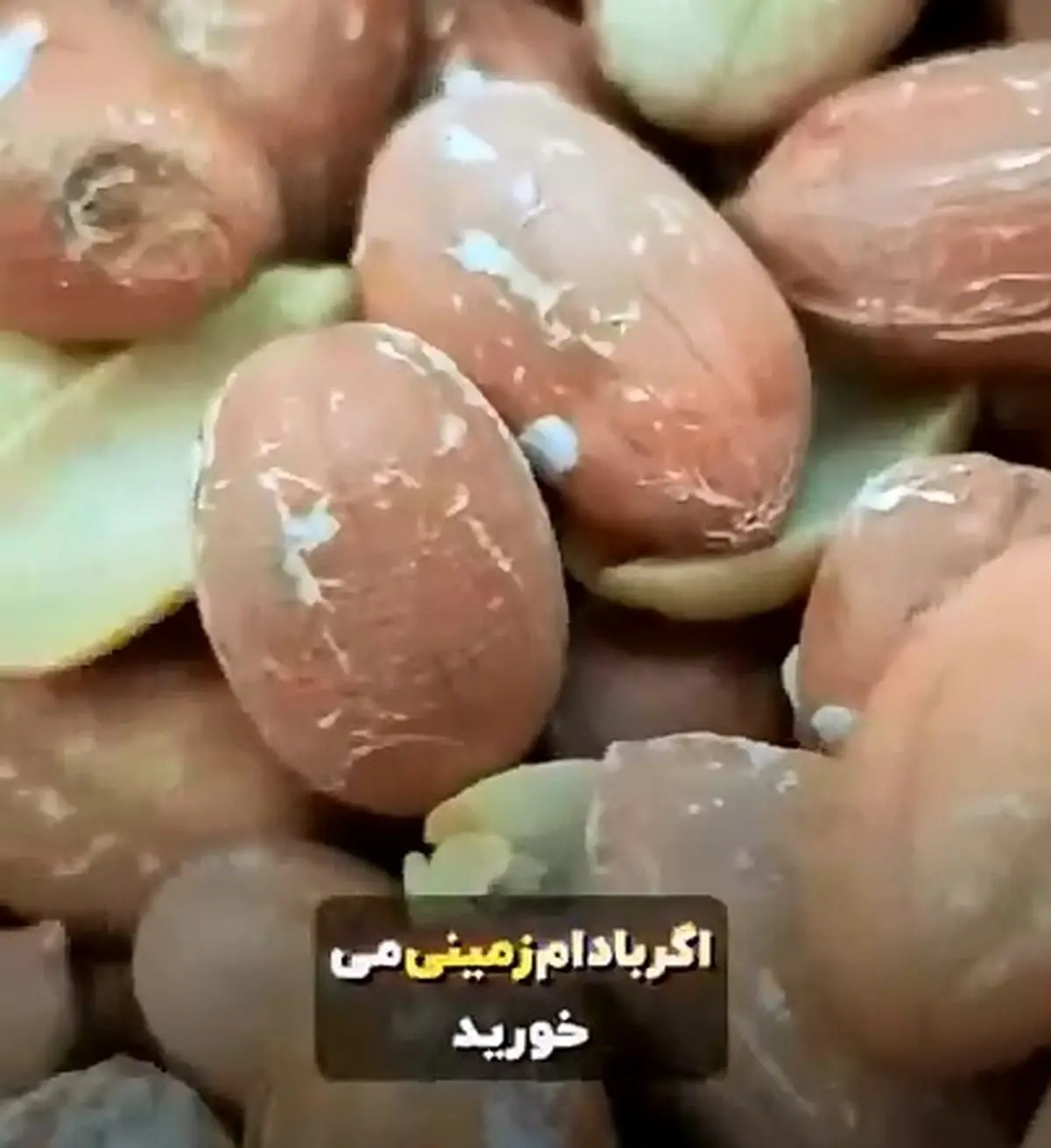 تاثیرات جالب بادام بر روی بدن! + فیلم