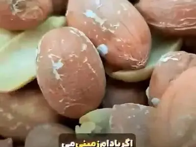 تاثیرات جالب بادام بر روی بدن! + فیلم