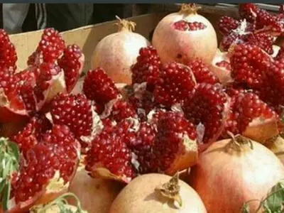تشدید بازرسی‌ از واحدهای‌صنفی در آستانه شب یلدا / جرائم سنگین در انتظار متخلفان