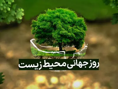 asdasd
