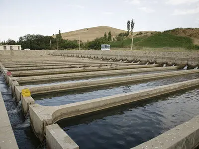 سالانه ۶ هزار و ۴۰۰ تن ماهی در شهرستان ازنا تولید می‌شود