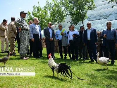 بازدید معاون رئیس جمهوری از اماکن تاریخی و تفریحی قزوین