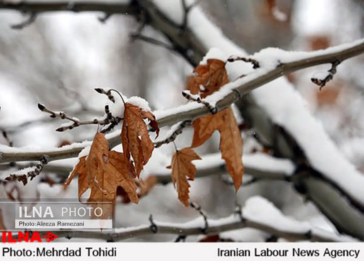 آسمان ۱۱ استان کشور برفی میشود