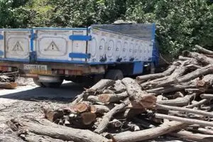 کشف بیش از ۹ تن چوب قاچاق به ارزش ۱۲ میلیارد ریال در اهواز