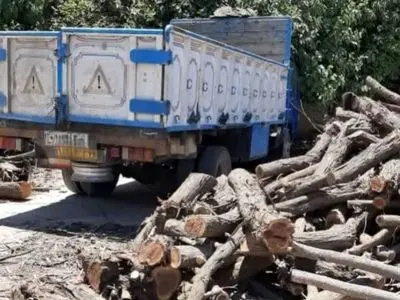 کشف و توقیف چهار تن چوب جنگلی قاچاق در شوش 