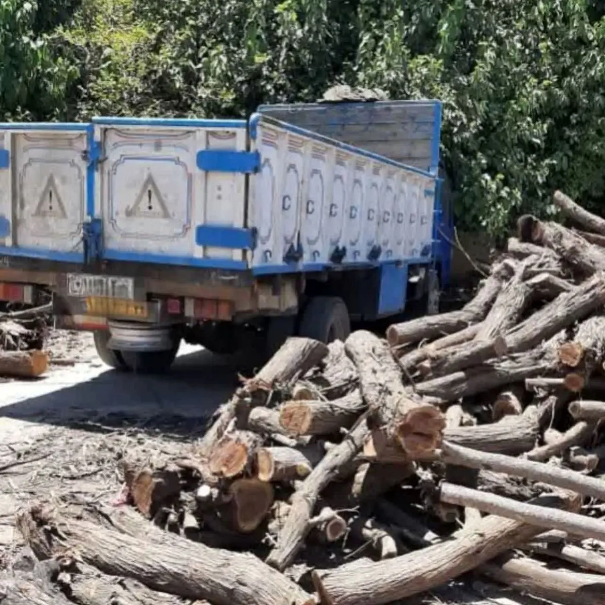 کشف و توقیف چهار تن چوب جنگلی قاچاق در شوش 
