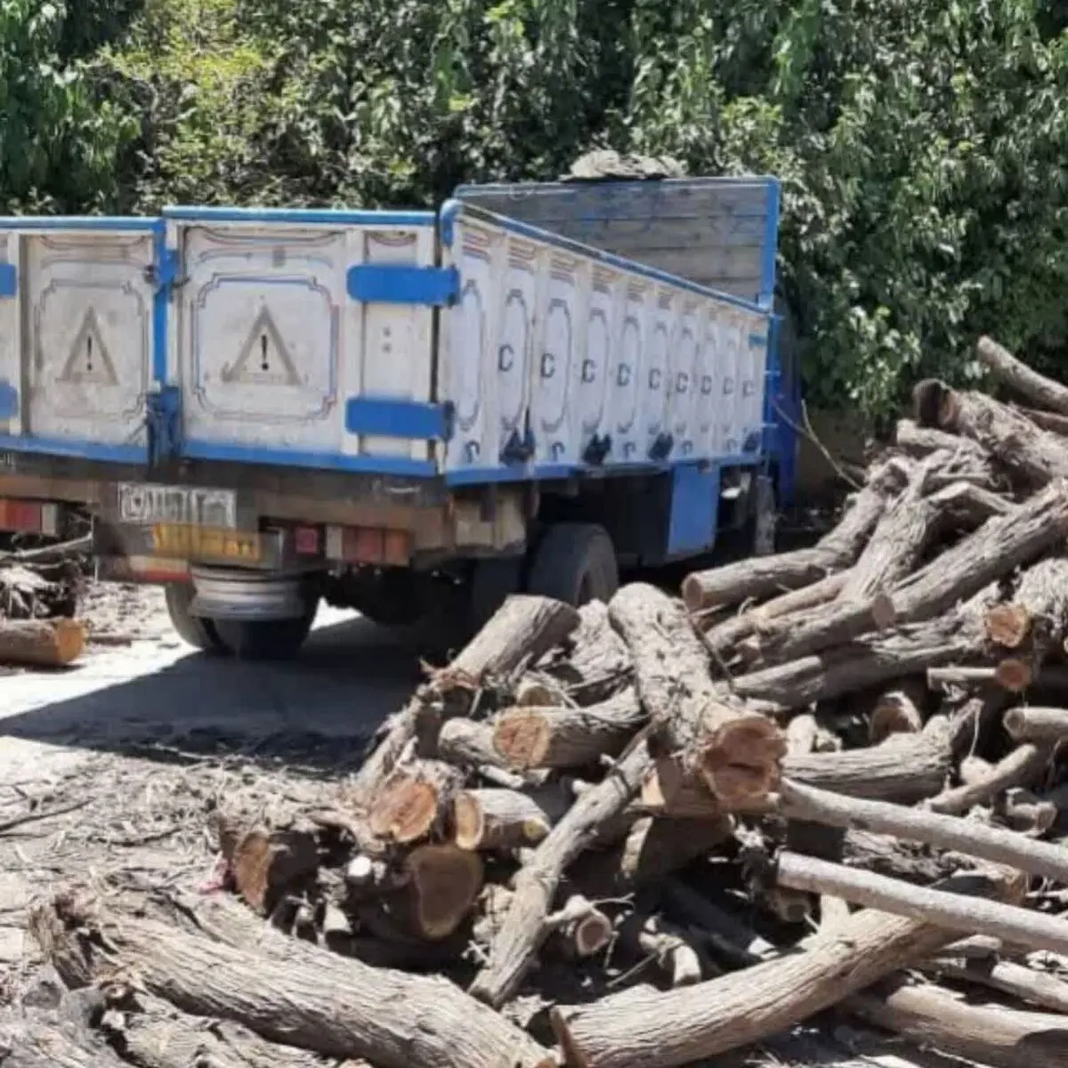 کشف و توقیف چهار تن چوب جنگلی قاچاق در شوش 