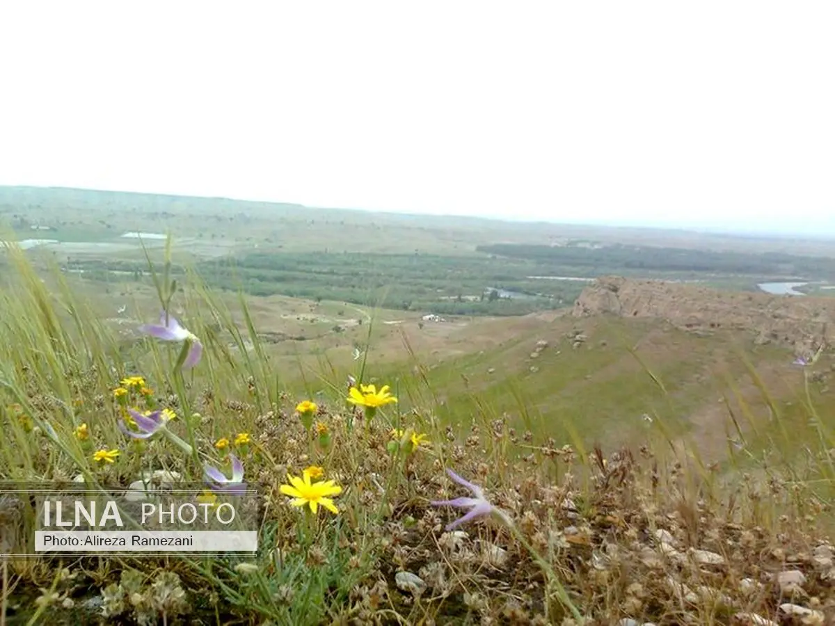 پازنان بی «پازن» و تنگ پلنگی بی «پلنگ»