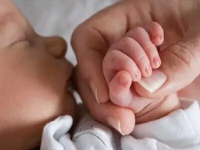 تولد  40561 کودک در بوکان در طول 10 سال