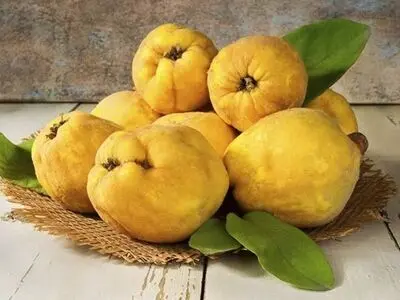 میوه شگفت‌انگیزی که هم ضدویروس است، هم شما را لاغر می‌کند