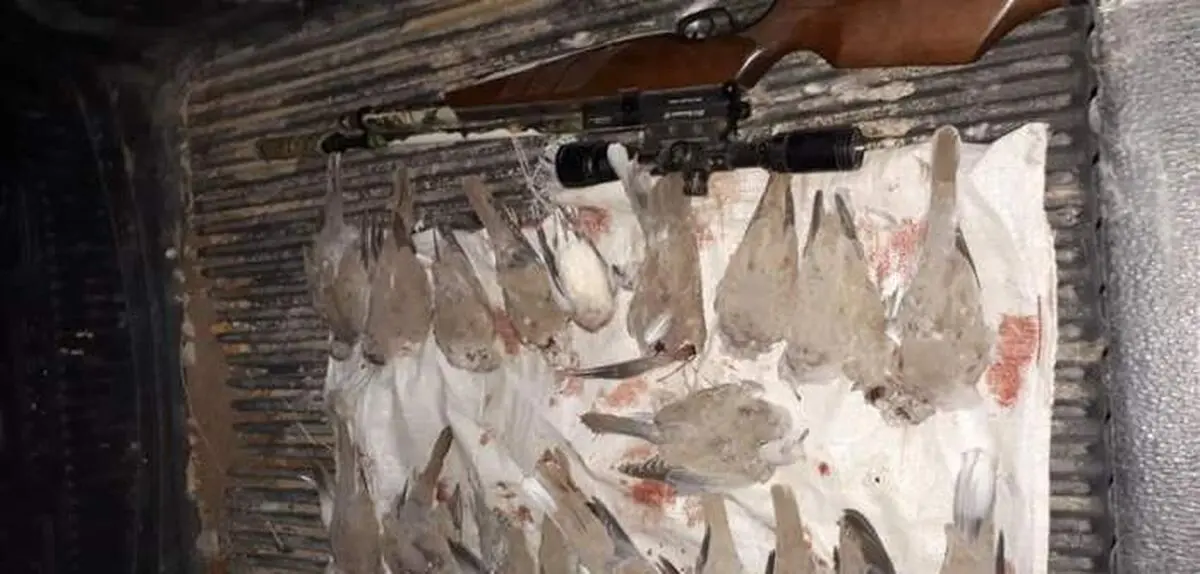 دستگیری یک شکارچی غیرمجاز در شوشتر