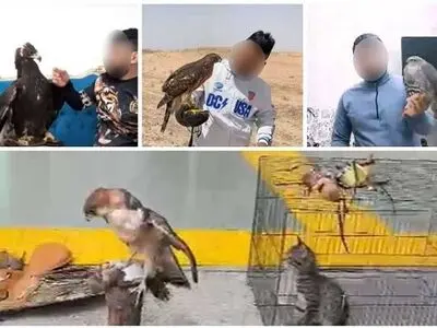 قاچاقچی حیات وحش ملقب به «دکتر عقاب» دستگیر شد