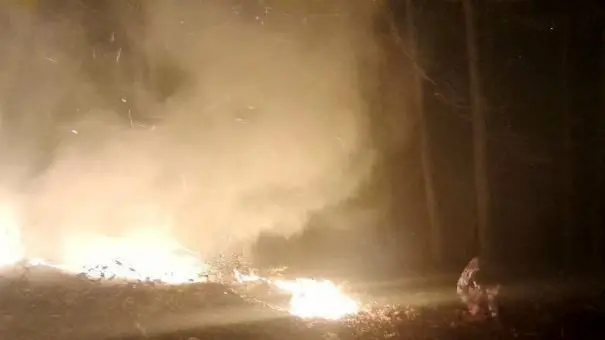 آتش سوزی در مناطق جنگلی گیلان / تلاش‌ها برای خاموش کردن آتش سوزی ادامه دارد