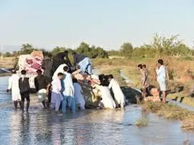 اقلام ضروری به مناطق سیل زده زرآباد ارسال می شود