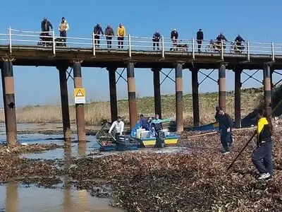 زیر پل نهنگ روگا از گیاه مهاجم سنبل آبی پاک‌سازی‌ شد
