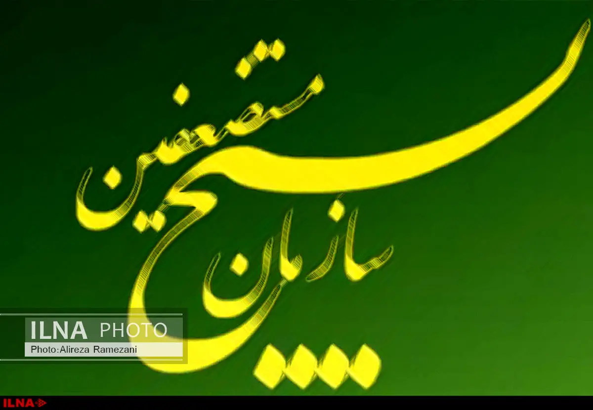 معینی، معاون اجرایی سازمان بسیج مستضعفین شد