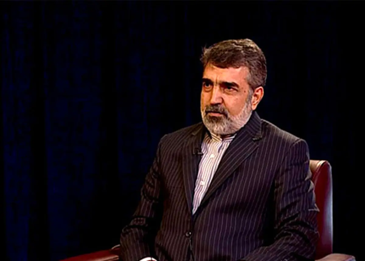 بازرسی از تاسیسات براساس پروتکل الحاقی خواهد بود