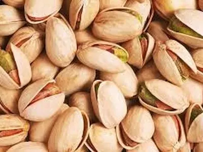 ۵ درصد از کل محموله پسته صادراتی ایران به اتحادیه اروپا می‌رود