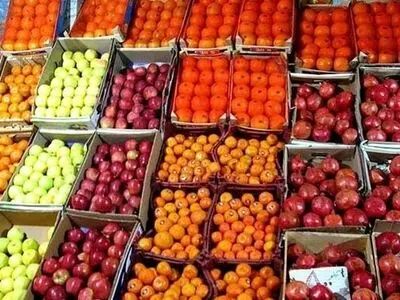 ذخیره سازی ۴۵۰تن سیب و پرتقال شب عید در آذربایجان غربی/کمبودی در تامین میوه شب عید استان وجود ندارد