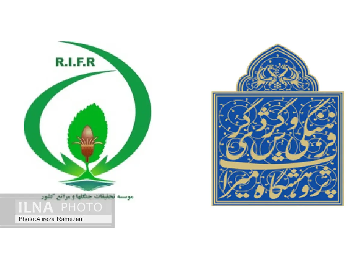 انجام مطالعات فرسودگی زیستی در حوزه میراث فرهنگی