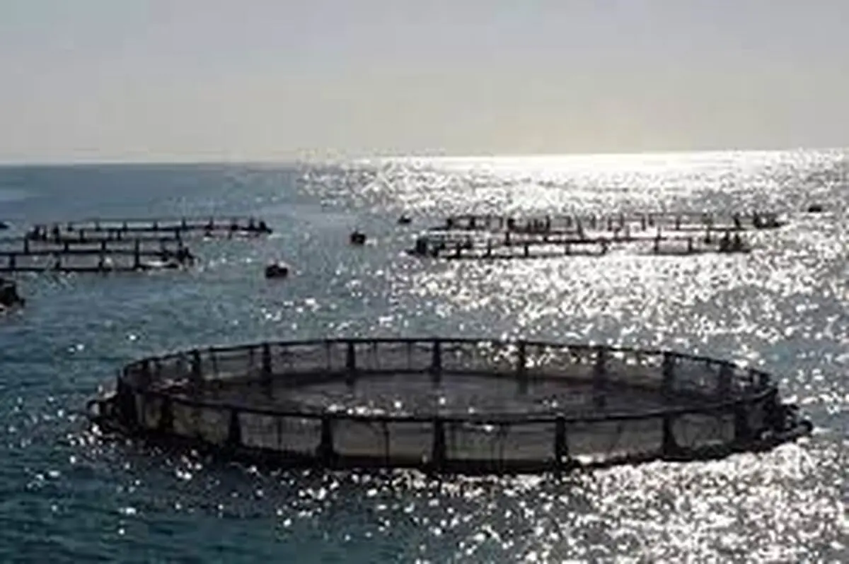 لزوم تبدیل دریا به مزرعه آبزی‌پروری در راستای تامین امنیت غذایی